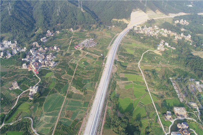 AG�����羺���ֲ�(�й���)������