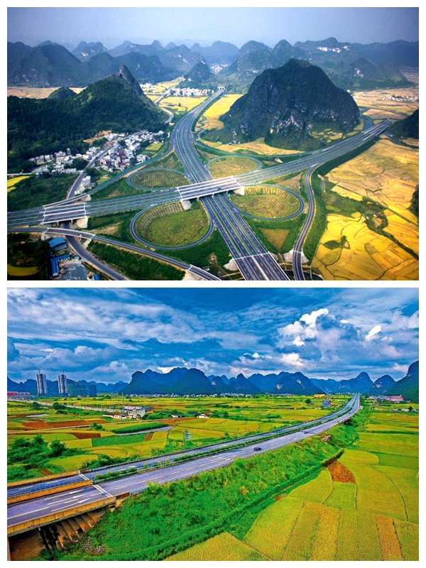 AG�����羺���ֲ�(�й���)������