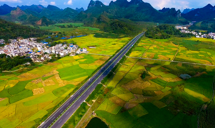 AG�����羺���ֲ�(�й���)������