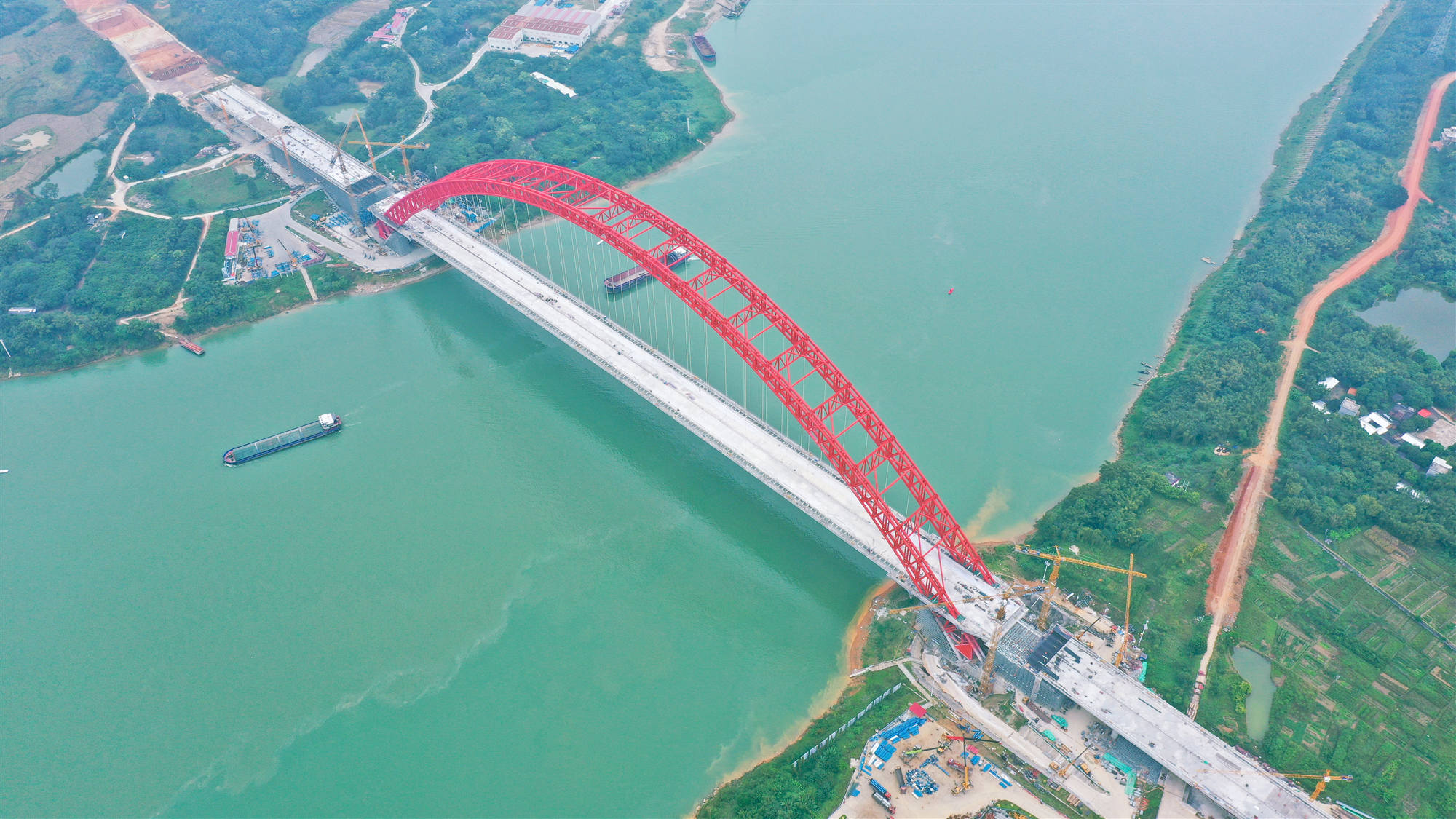 AG�����羺���ֲ�(�й���)������