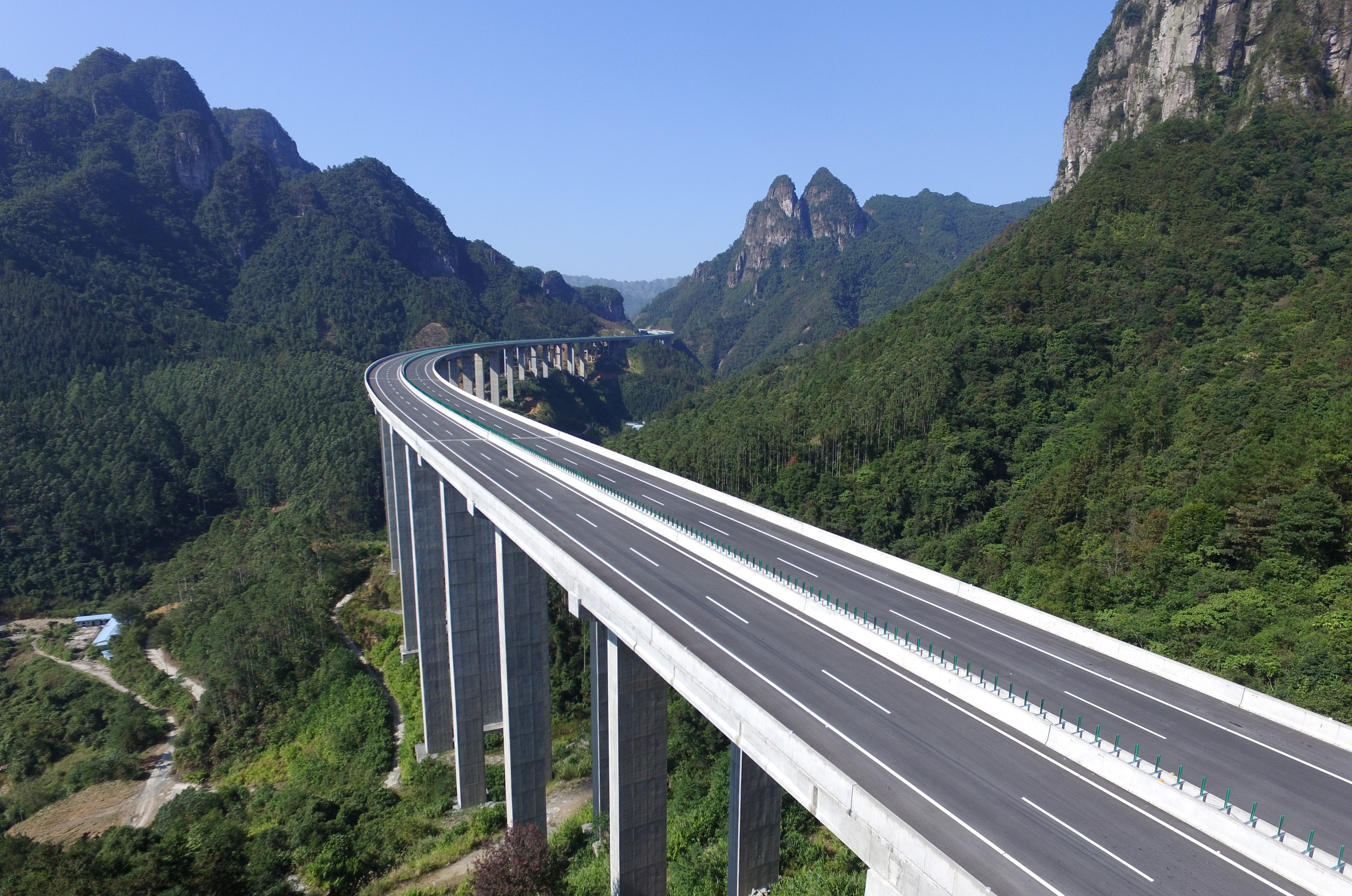 AG�����羺���ֲ�(�й���)������