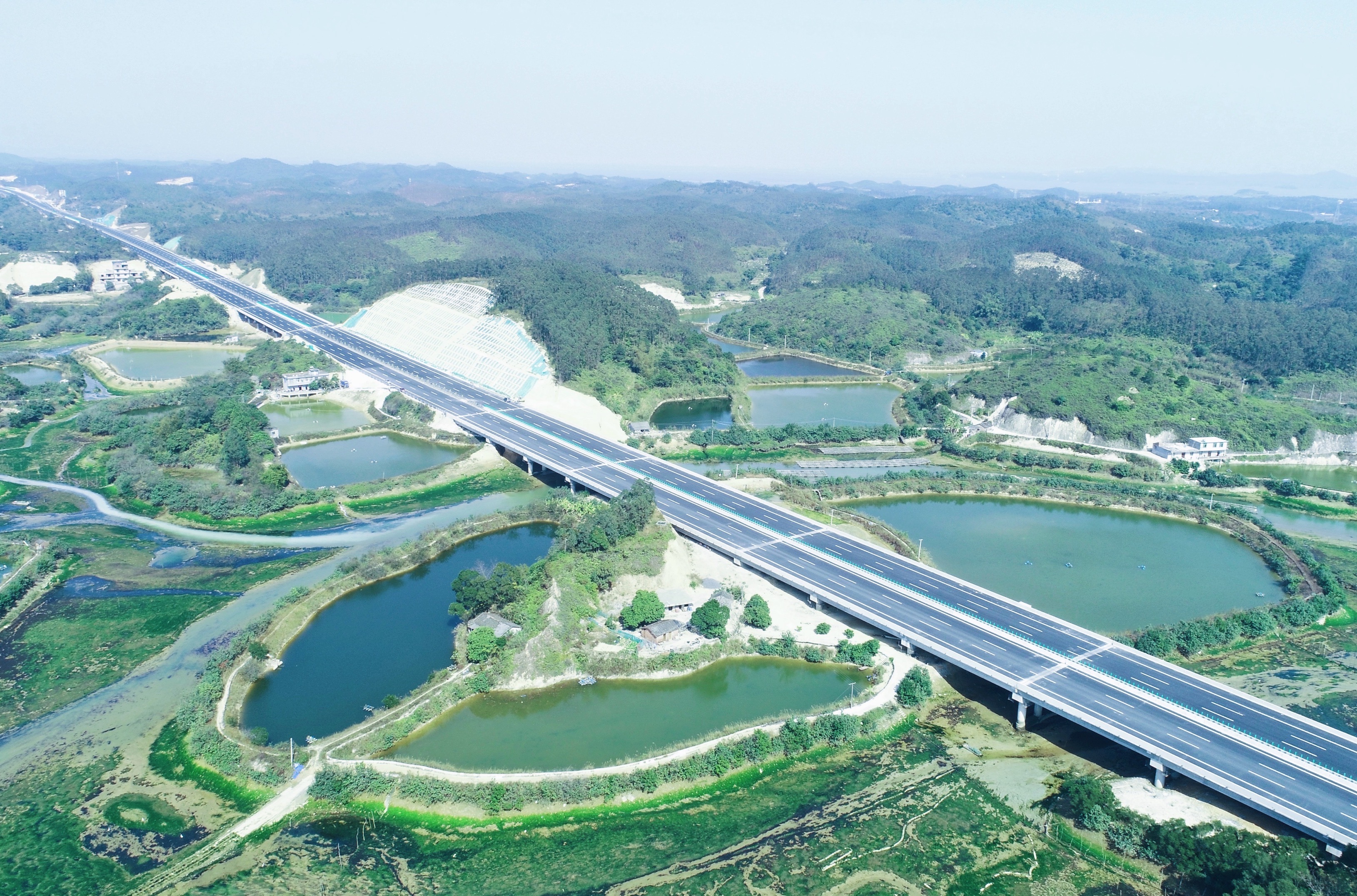 AG�����羺���ֲ�(�й���)������