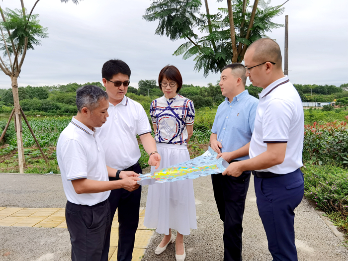 AG�����羺���ֲ�(�й���)������