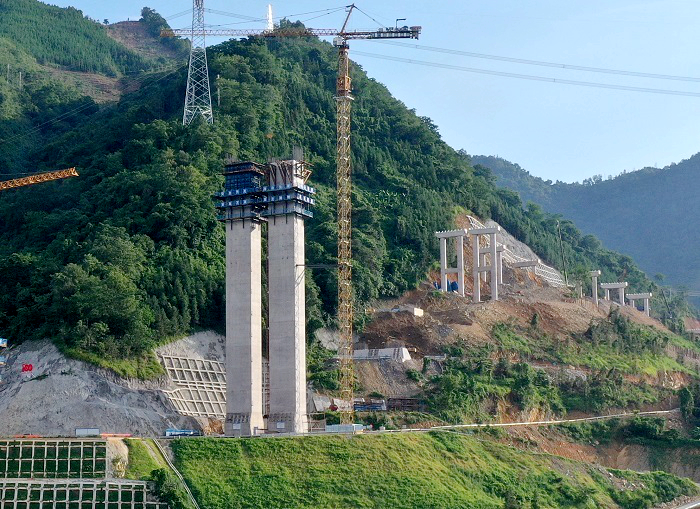 AG�����羺���ֲ�(�й���)������