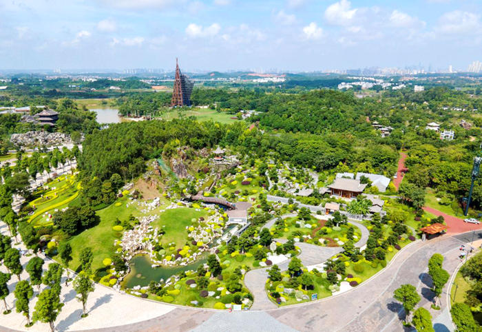 AG�����羺���ֲ�(�й���)������