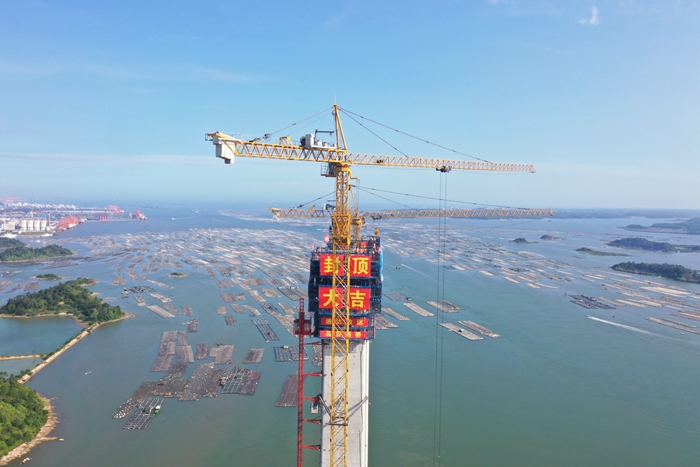 AG�����羺���ֲ�(�й���)������