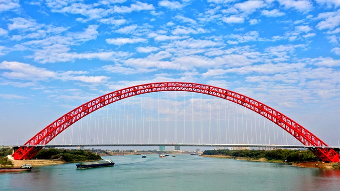 AG�����羺���ֲ�(�й���)������