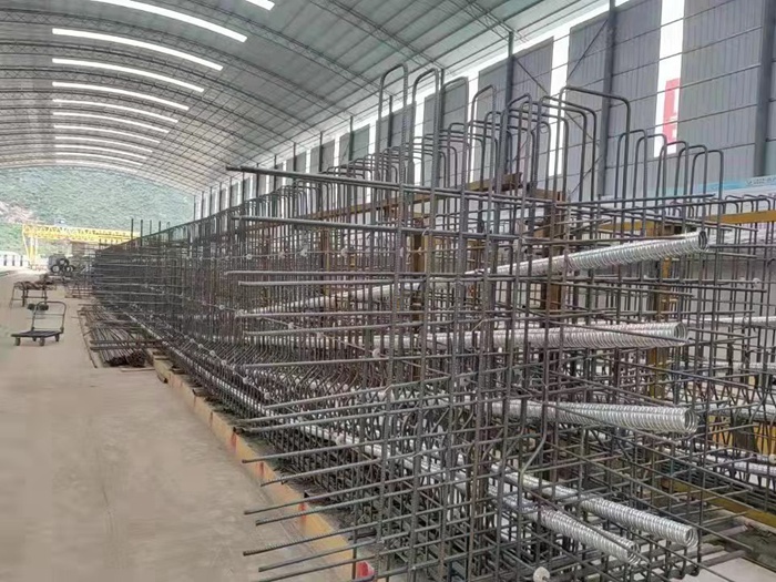 AG�����羺���ֲ�(�й���)������