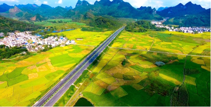 AG�����羺���ֲ�(�й���)������