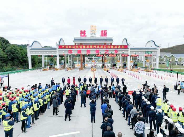 AG�����羺���ֲ�(�й���)������