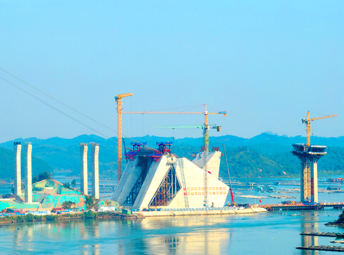 AG�����羺���ֲ�(�й���)������