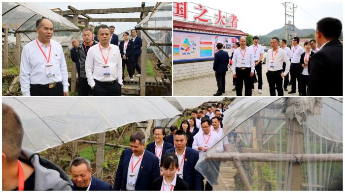 AG�����羺���ֲ�(�й���)������