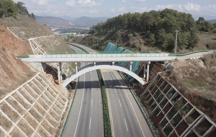 AG�����羺���ֲ�(�й���)������