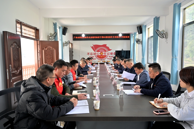 AG�����羺���ֲ�(�й���)������