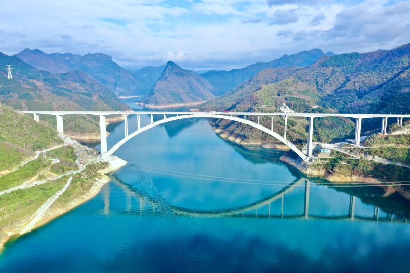 AG�����羺���ֲ�(�й���)������