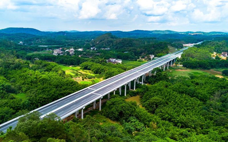 AG�����羺���ֲ�(�й���)������