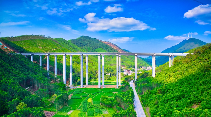 AG�����羺���ֲ�(�й���)������