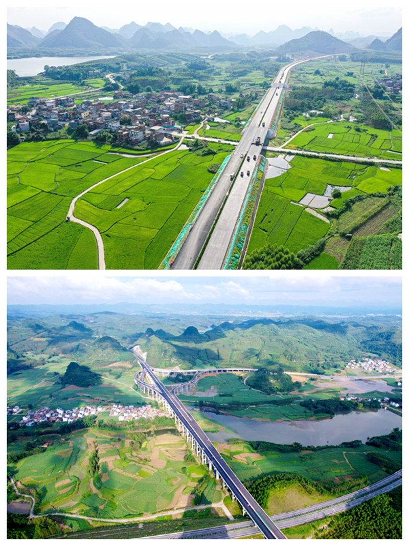 AG�����羺���ֲ�(�й���)������