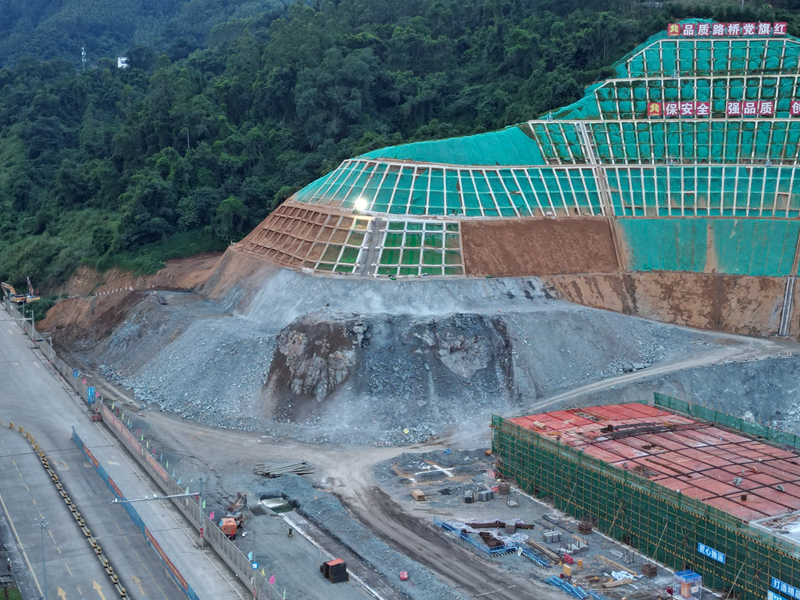 AG�����羺���ֲ�(�й���)������