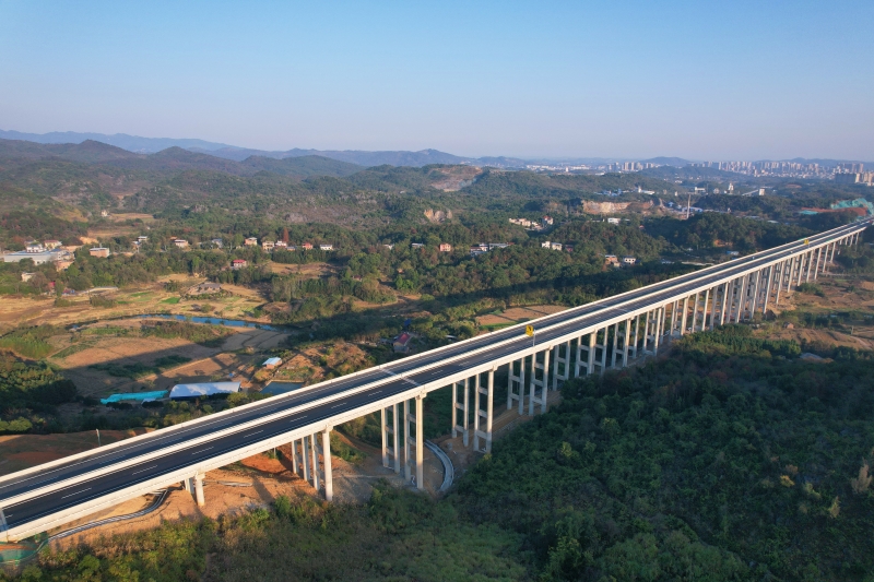 AG�����羺���ֲ�(�й���)������