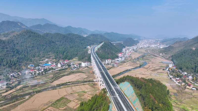 AG�����羺���ֲ�(�й���)������