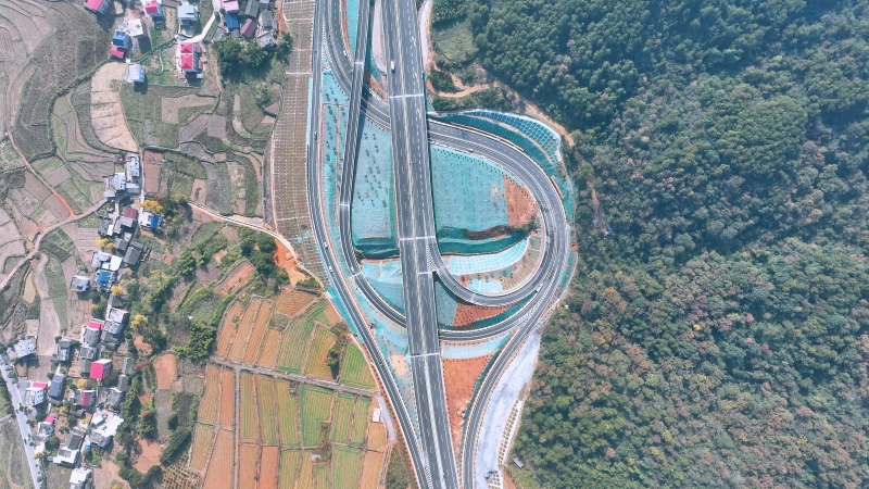 AG�����羺���ֲ�(�й���)������