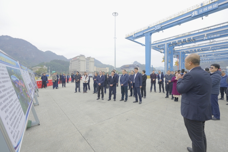 AG�����羺���ֲ�(�й���)������