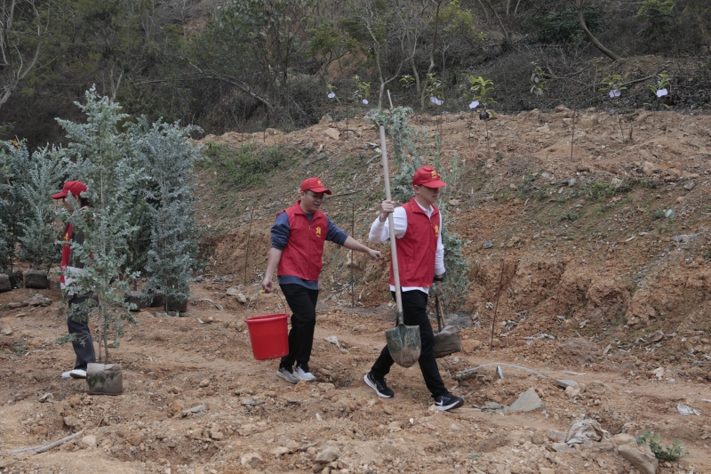 AG³¬Íæ»áµç¾º¾ãÀÖ²¿(ÖйúÇø)¡¤¼¯ÍÅ